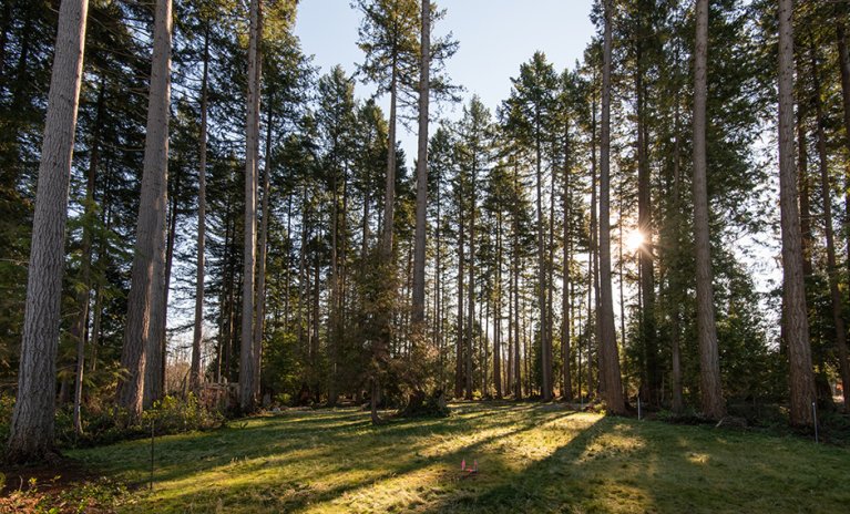 Cedar Walk by Polygon UBC Condos